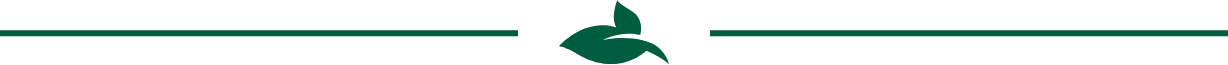 page width dark green content divider line with centered green leaf graphic