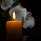 photo of a dark yellow candle burning in a dark room with white flowers behind it
