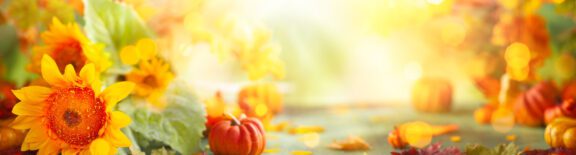 graphic of sunflowers, leaves and pumpkins