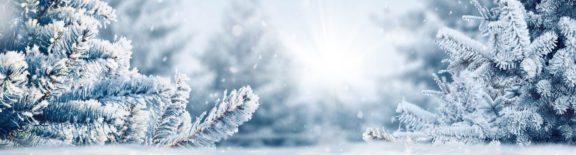 Wintery Scene_Obit Hero Image