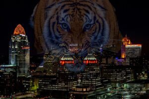 Bengals