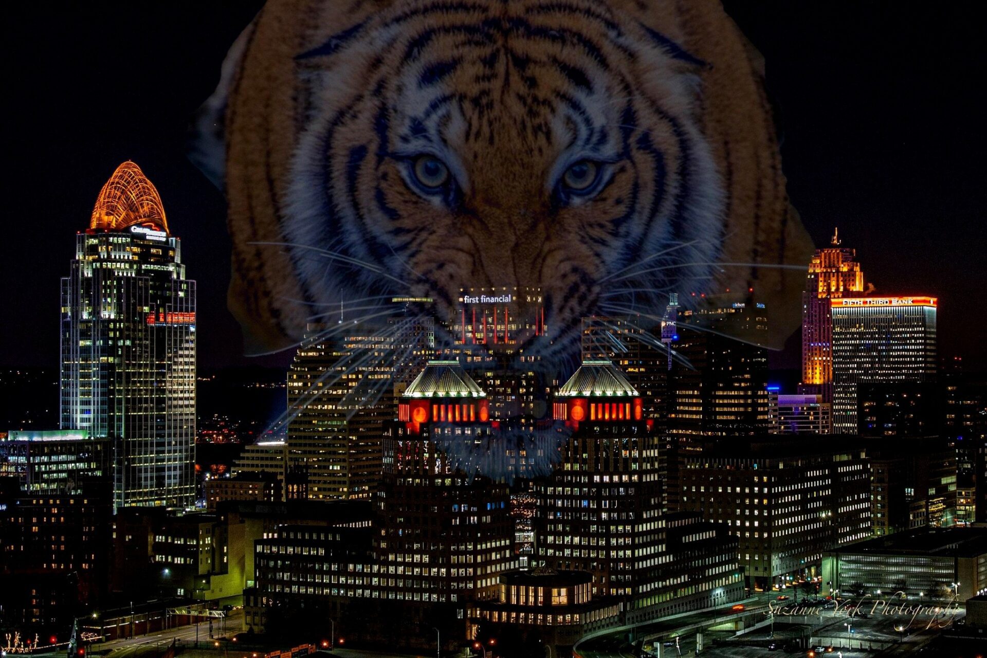 Bengals Tiger over a photo of the skyline of downtown Cincinnati