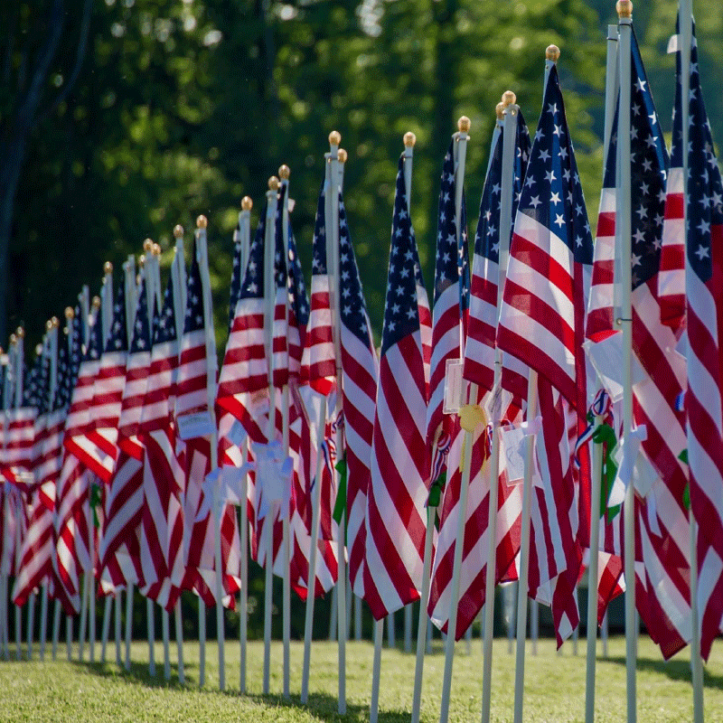 Photo of a Field of American flags during the Arlington Memorial Memories Flag Dedications
