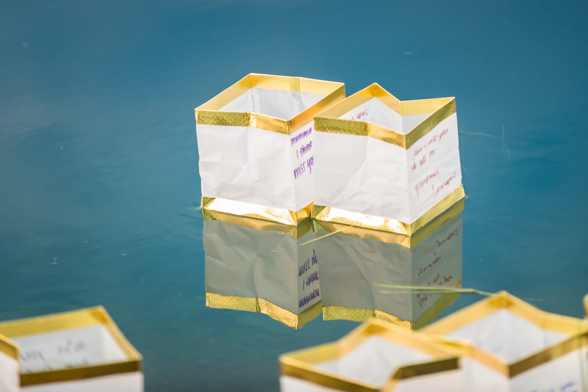Photo of small paper memory lanterns floating in water
