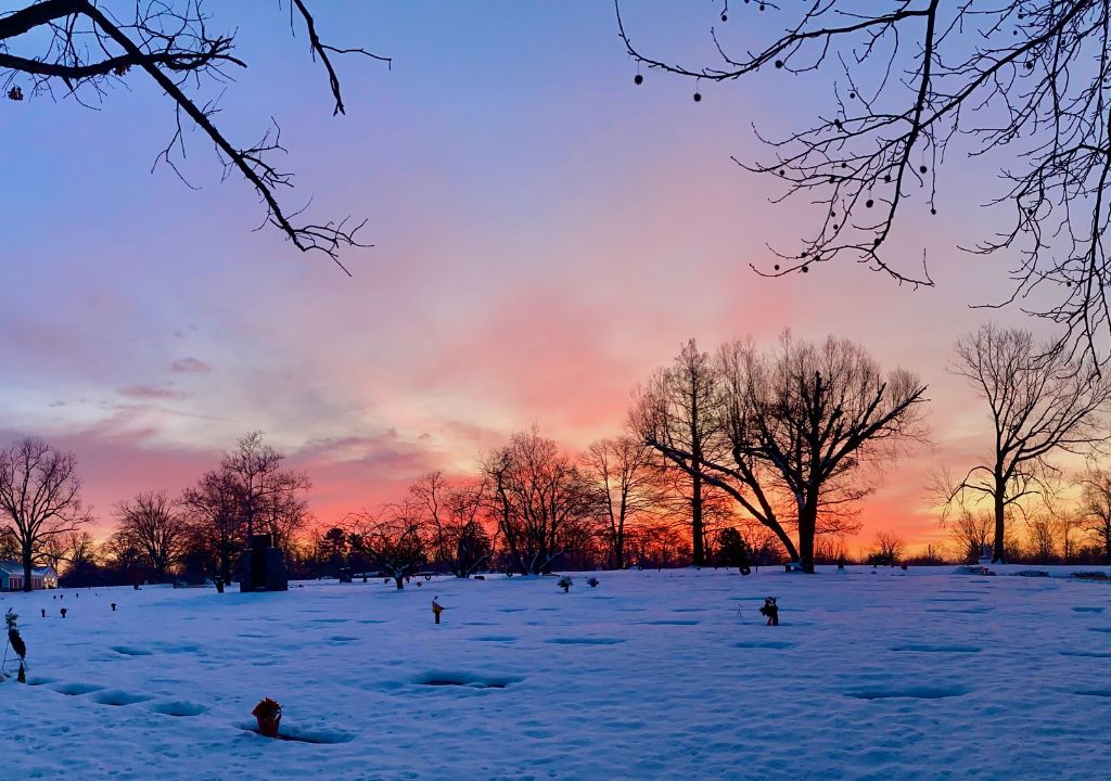 Arlington Grounds  Winter