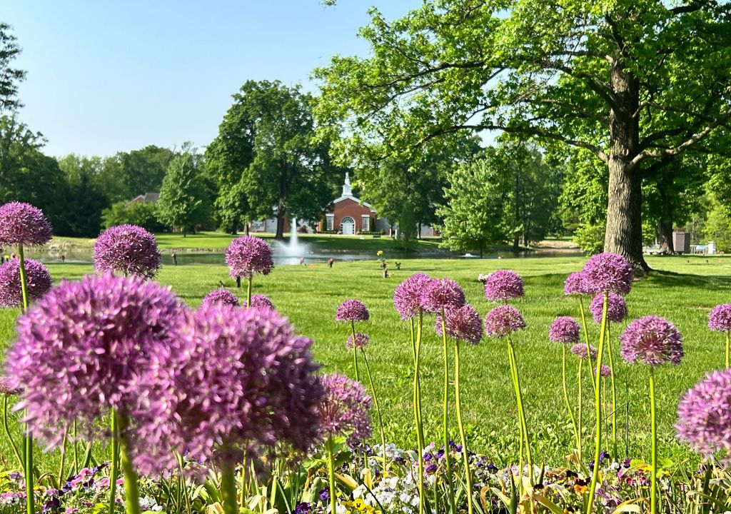 Arlington Grounds - Springtime