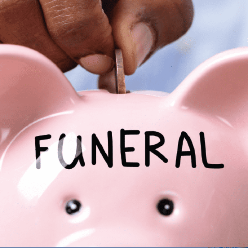 Pink piggy bank with someone's hand placing a coin inside