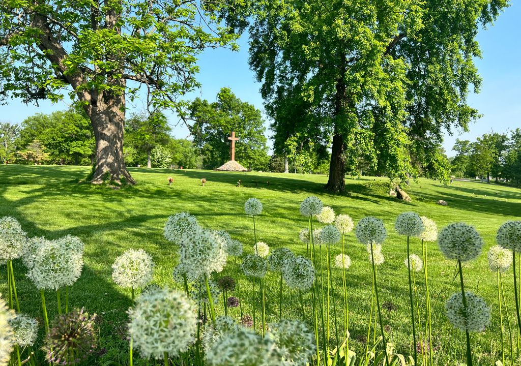 Springtime at Arlington
