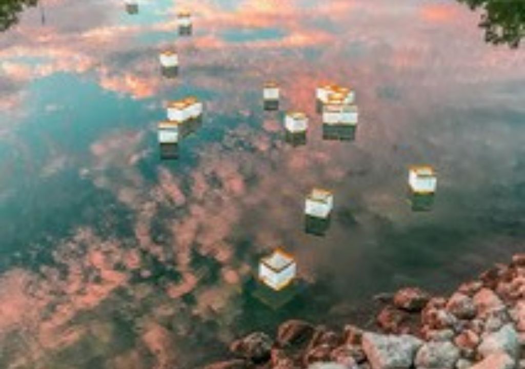 Arlington Lanterns in Remembrance