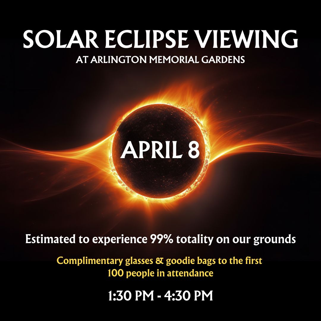 Solar Eclipse Viewing