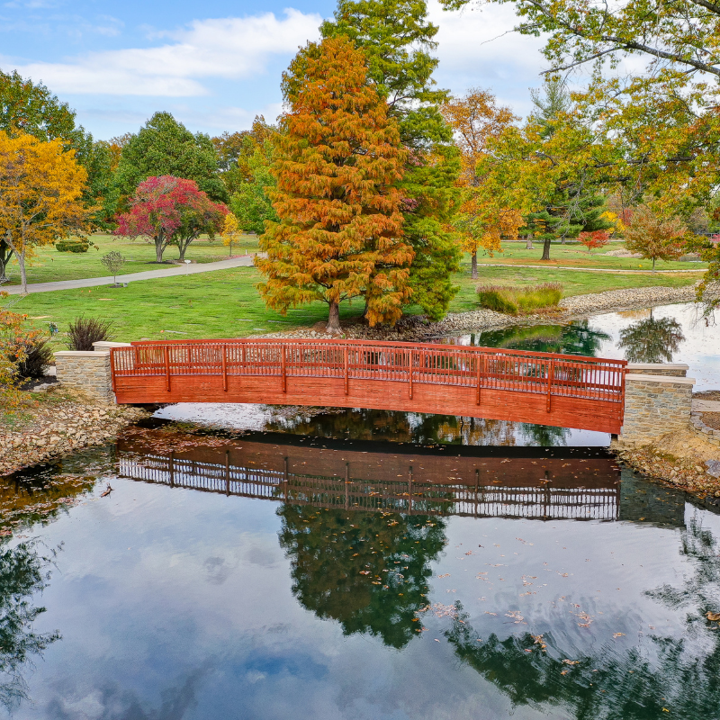 Photo of an orange bridge going over a pond with tall trees in grass behind it