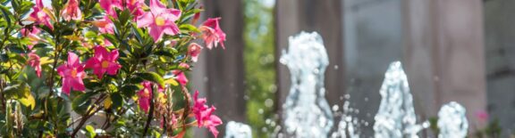 Subscribe to Info & Education at AMG