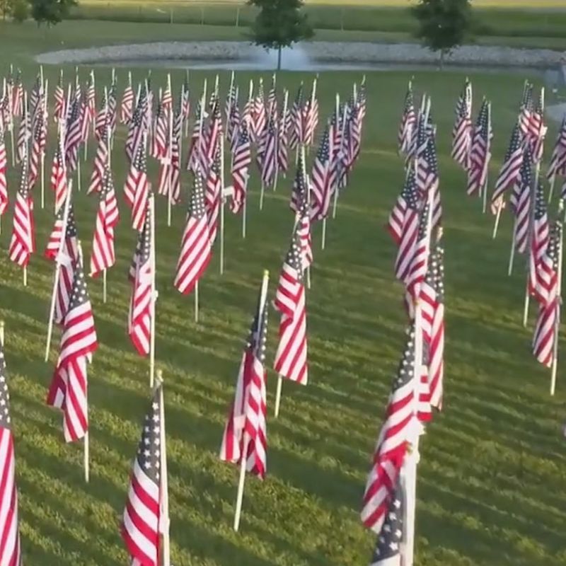 photo of American flags planted in green grass
