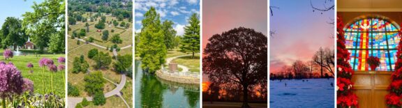 AMG Calendar Photo Contest Banner